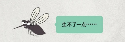为什么冰岛没有蚊子?