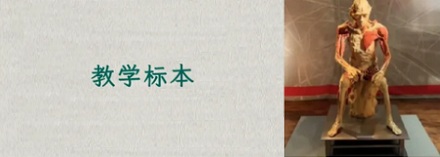 大体老师工作多长时间后，才能退休？