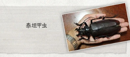 蟑螂如果和小龙虾一样大，能吃吗？