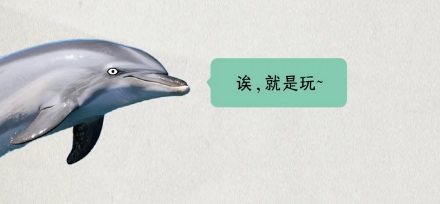 为什么海豚总是喜欢给船带路?
