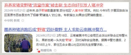 为啥家猪放到野外就会变成野猪,甚至还长出獠牙?
