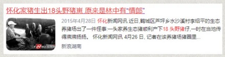 为啥家猪放到野外就会变成野猪,甚至还长出獠牙?