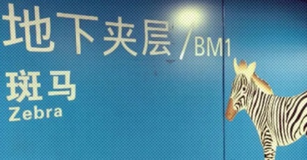 为啥很多机场爱用动物或水果给楼层起名？
