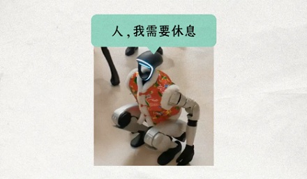 机器人的充电姿势为什么都是「亚洲蹲」？