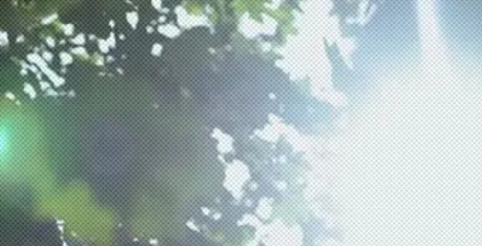 为什么在阳光下闭眼久了睁眼视野会变绿？