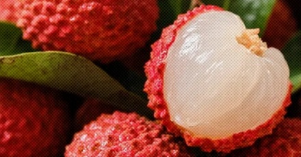 荔枝那么甜，为什么吃了还会低血糖？