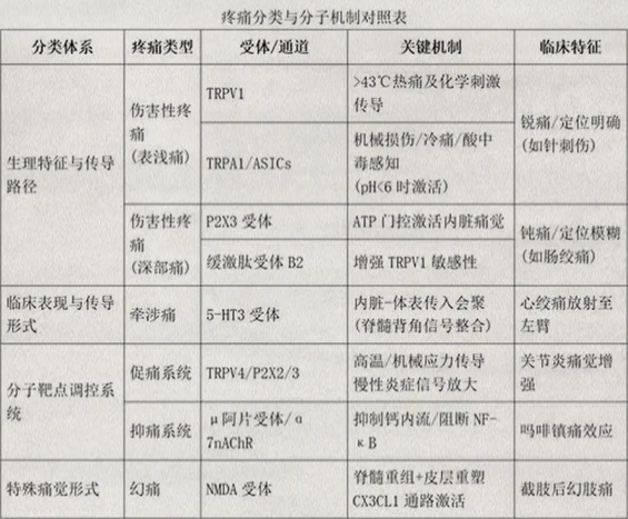 既然辣是痛觉，那吃完辣椒吃止痛药还会痛吗？