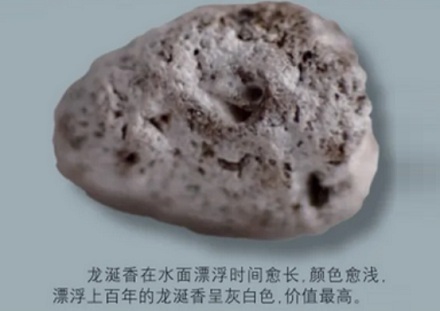 为什么只有鲸鱼拉出来的屎才叫龙涎香，而人工取出来的就很臭？