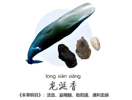 为什么只有鲸鱼拉出来的屎才叫龙涎香，而人工取出来的就很臭？