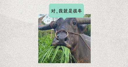 为什么牛光吃草就能长腱子肉人就不行?