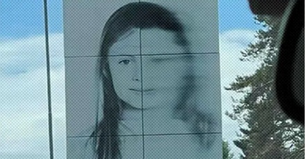 为什么挪威公路上有很多只能看清半边脸的黑白人像？