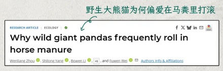 为什么素岭的大熊猫冬天一看见马粪就兴奋?