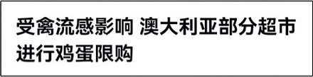 为什么国外动不动就有「鸡蛋荒」，中国却很少？