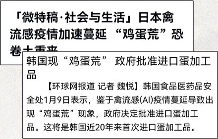 为什么国外动不动就有「鸡蛋荒」，中国却很少？