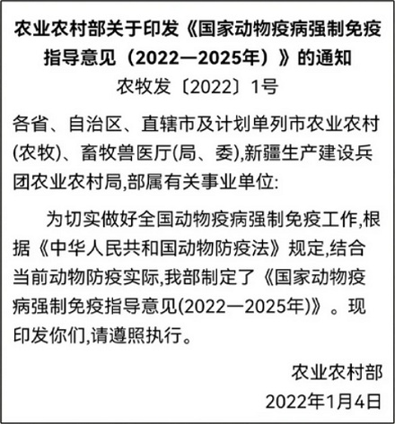 为什么国外动不动就有「鸡蛋荒」，中国却很少？