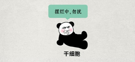 为什么其他灵长类动物三天长好的伤口，人类却需要一周？