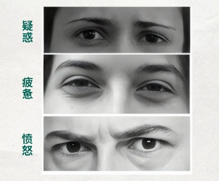 为什么只有人类的眼睛有大块眼白？