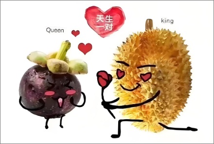 硬汉配软妹？榴莲和山竹的「夫妻」人设从何而来？