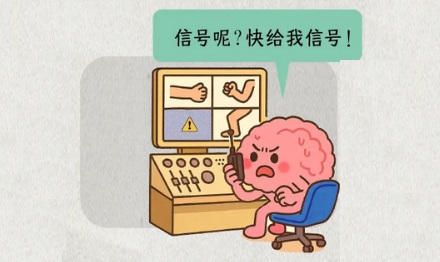 为啥截肢后，不存在的部分还会幻痛？