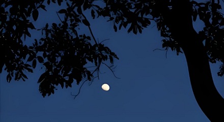 原来，「宵」与「夜」是有区别的！