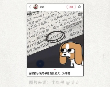 为什么有的药品说明书里会出现比格犬?