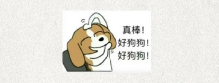 为什么有的药品说明书里会出现比格犬?