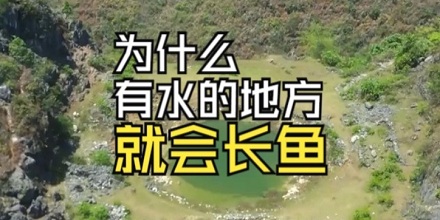 为什么有水的地方就会自动长鱼？