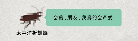 蟑螂不会产奶，比牛奶更营养的「蟑螂奶」是怎么来的？