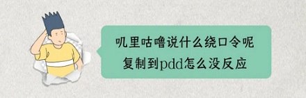 蟑螂不会产奶，比牛奶更营养的「蟑螂奶」是怎么来的？