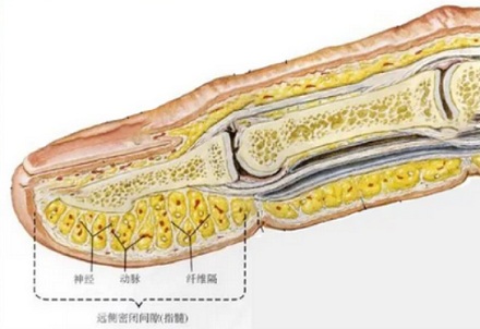 指甲上又没有毛孔，为啥做完美甲后感觉指甲闷得慌？