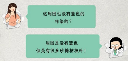 猪吃完砂糖橘,皮肤为什么会变蓝?