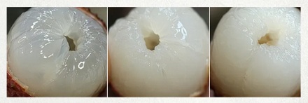 果肉乳白色的真的就是「死荔枝」吗？