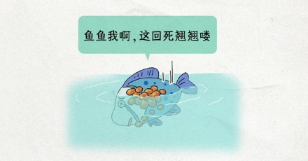 为什么说在海边看到透明「爆爆珠」千万别下水？