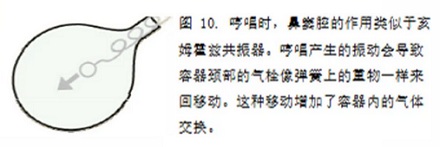 为什么说得了鼻窦炎的人要多哼歌？