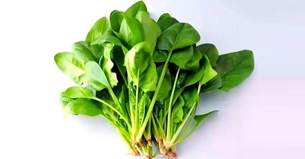 吃绿叶蔬菜能预防贫血，真的假的？