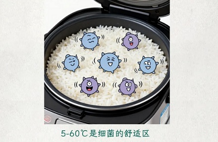 为什么饭在电饭锅里保温不能超过 4 个小时？