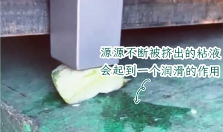 为什么搬运重物时要在下面垫冬瓜块？