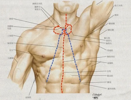法医解剖「新鲜」尸体时要先放血吗？