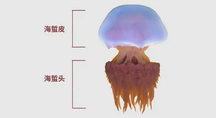 为什么叮咚买菜的凉拌海蜇名字叫「妈妈我头疼」？