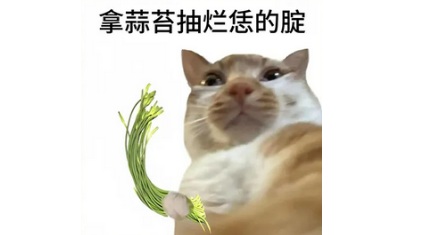 为什么河南农户就算亏本也一定要把蒜薹抽了？放着不抽会怎么样？