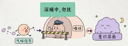 为什么火灾发生时，睡梦中的人很少会被烟雾熏醒？