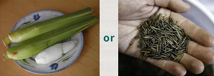 为什么茭白被美国禁止进口了？