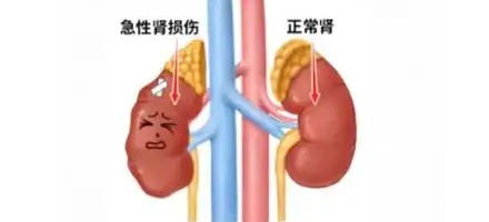 为什么农贸市场禁止剥蚕豆？