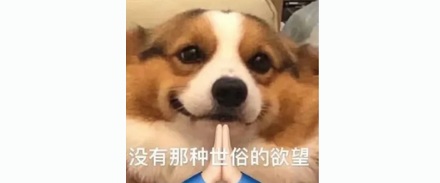 雌蚊子靠拍打翅膀的声音吸引雄性，那耳聋的雄蚊子怎么办？