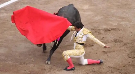 股市为什么是牛市和能市？不是狗市或猪市？