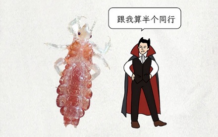 为什么发达的欧美很多孩子还会长头虱，他们还觉得特正常？