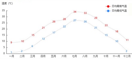 我国最大的藏红花产地，为什么在上海崇明？
