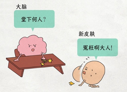 为什么伤口愈合的时候，人会感觉痒痒的？