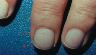 网恋对象只发一张手照，能看出多少信息？