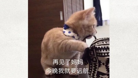 长时间没用的 U 盘明明没坏，但为什么里面数据没了？